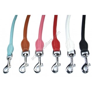 Padded LEATHER DOG COLLAR  : Tan with stars